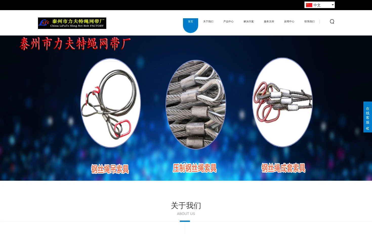 泰州市力夫特绳网带厂 页面快照